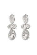 Stainless Steel Dangle Earrings irregular shape Casual Daily Simple Series Women's jewelry